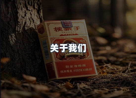 专业团队